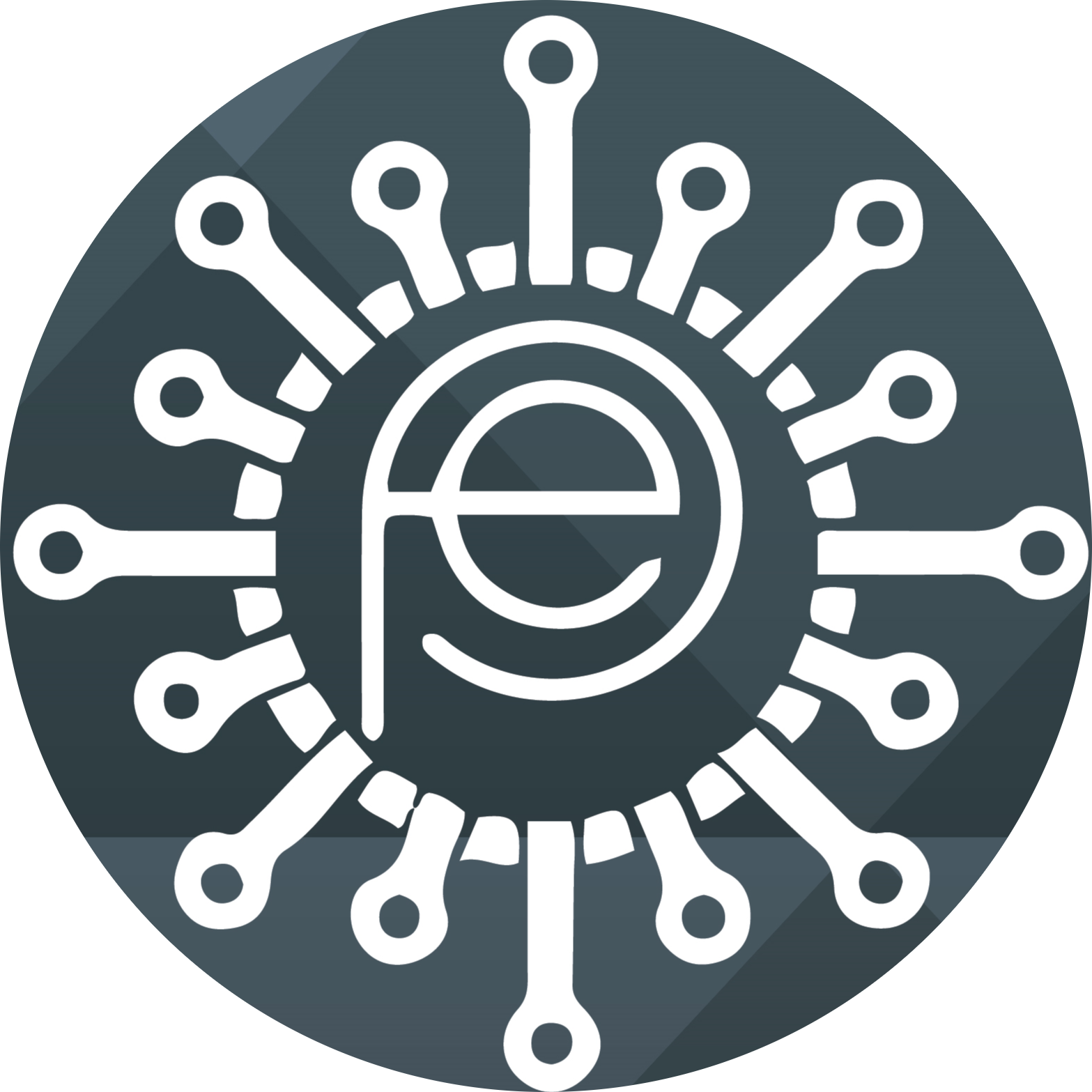 Promise Electronics logo